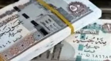 كيفية الاستعلام عن المعاش بالرقم القومي عبر المنصة الرقمية المخصصة لذلك